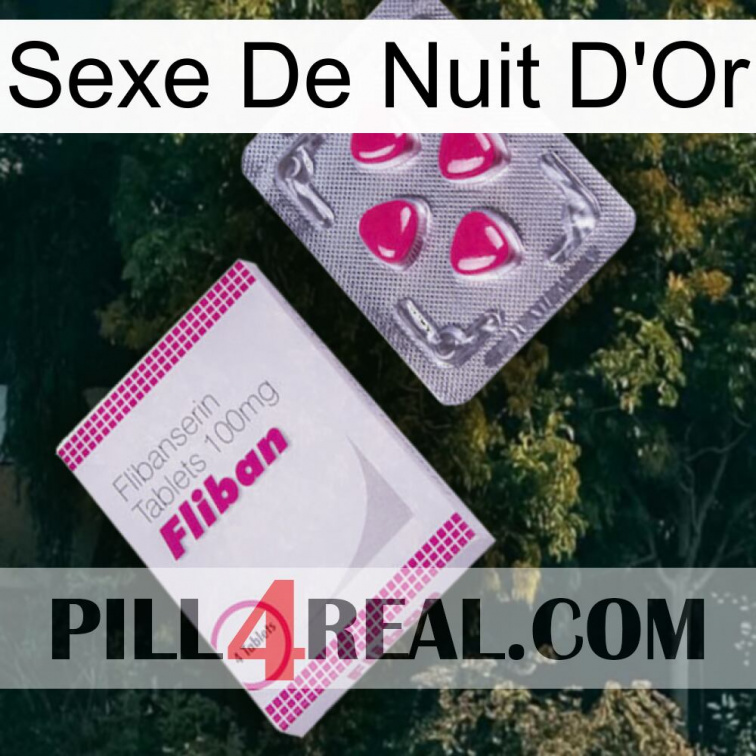 Golden Night Sex 32